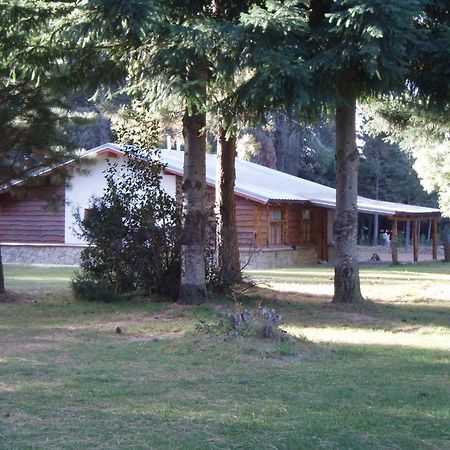Posada Del Angel Bariloche Buitenkant foto