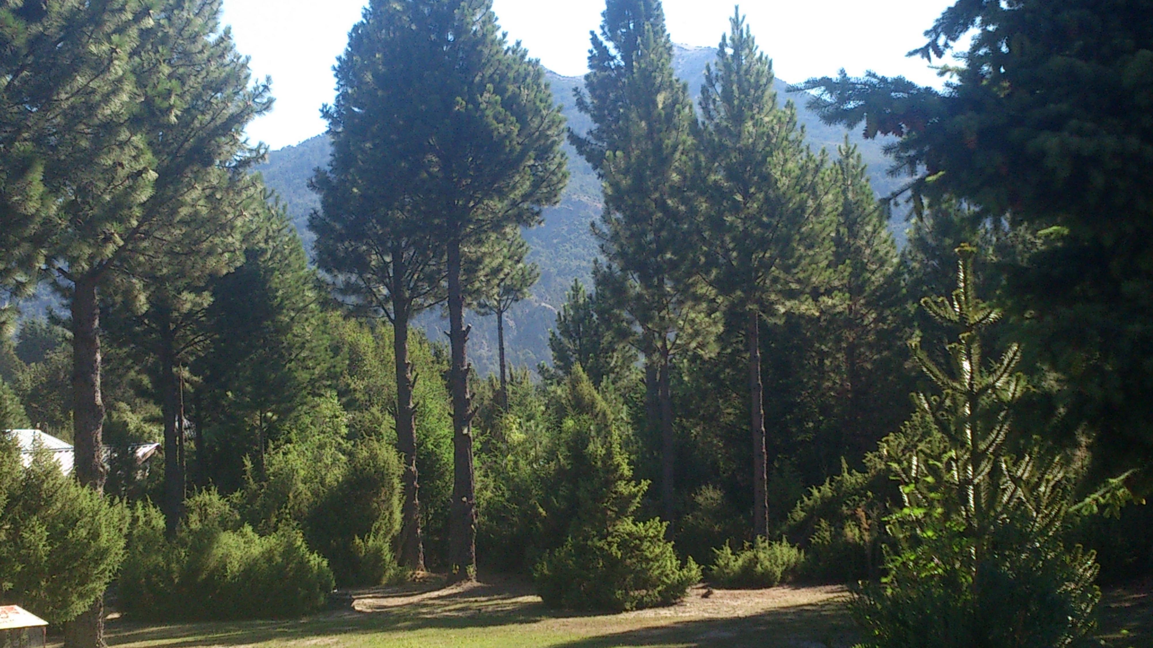 Posada Del Angel Bariloche Buitenkant foto